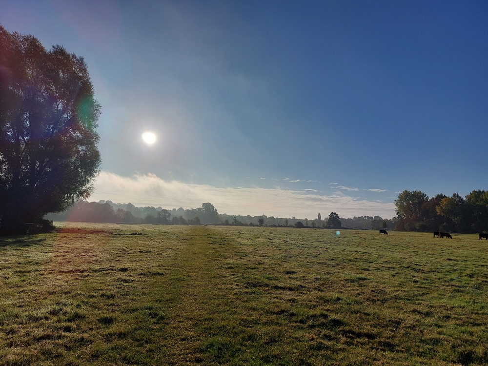 Photo of meadow in a Suffolk landscape