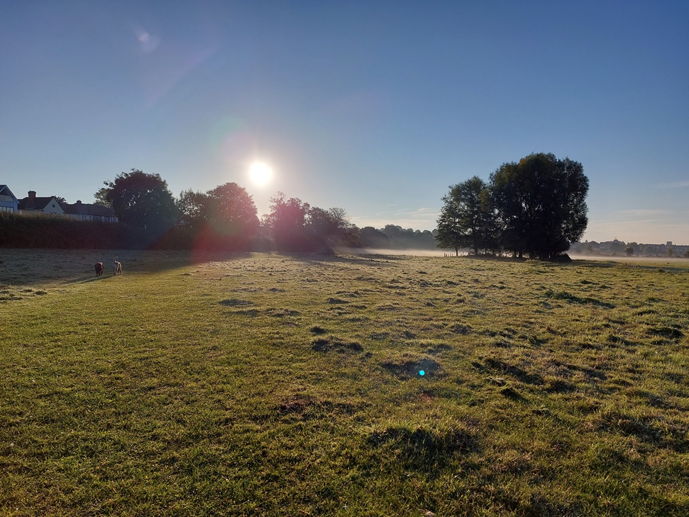 Photo of meadow in a Suffolk landscape