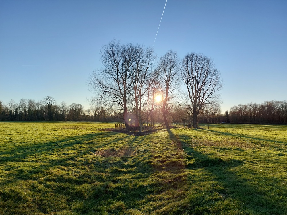 Photo of sunset behind some trees in a Suffolk landscape